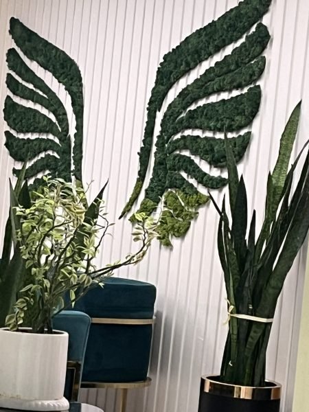 اجاره یک اتاق در مطب زیبایی و زنان